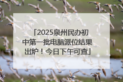 2025泉州民办初中第一批电脑派位结果出炉！今日下午可查