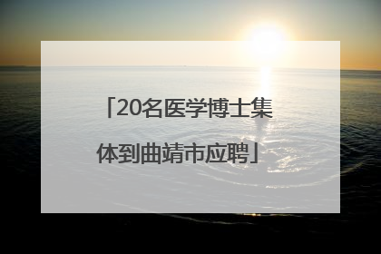 20名医学博士集体到曲靖市应聘