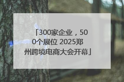 300家企业，500个展位 2025郑州跨境电商大会开幕