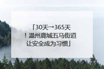 30天→365天！温州鹿城五马街道让安全成为习惯