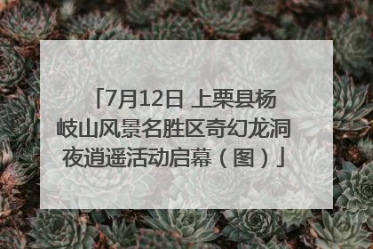 7月12日 上栗县杨岐山风景名胜区奇幻龙洞夜逍遥活动启幕（图）