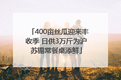 400亩丝瓜迎来丰收季 日供3万斤为沪苏锡常餐桌添鲜