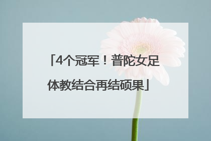 4个冠军！普陀女足体教结合再结硕果