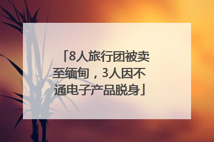 8人旅行团被卖至缅甸，3人因不通电子产品脱身