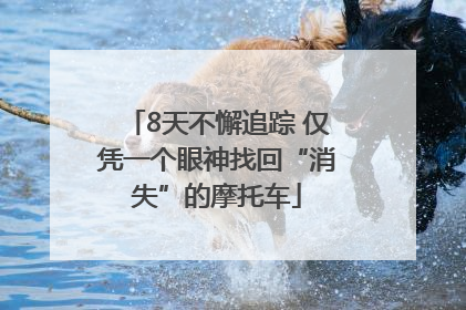 8天不懈追踪 仅凭一个眼神找回“消失”的摩托车