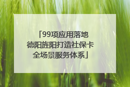 99项应用落地 德阳旌阳打造社保卡全场景服务体系