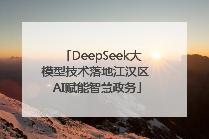DeepSeek大模型技术落地江汉区 AI赋能智慧政务