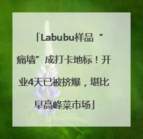 Labubu样品“痛墙”成打卡地标！开业4天已被挤爆，堪比早高峰菜市场