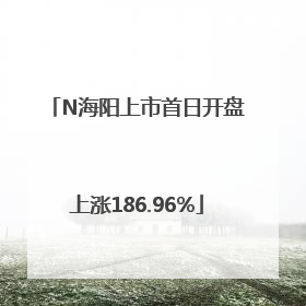 N海阳上市首日开盘上涨186.96%